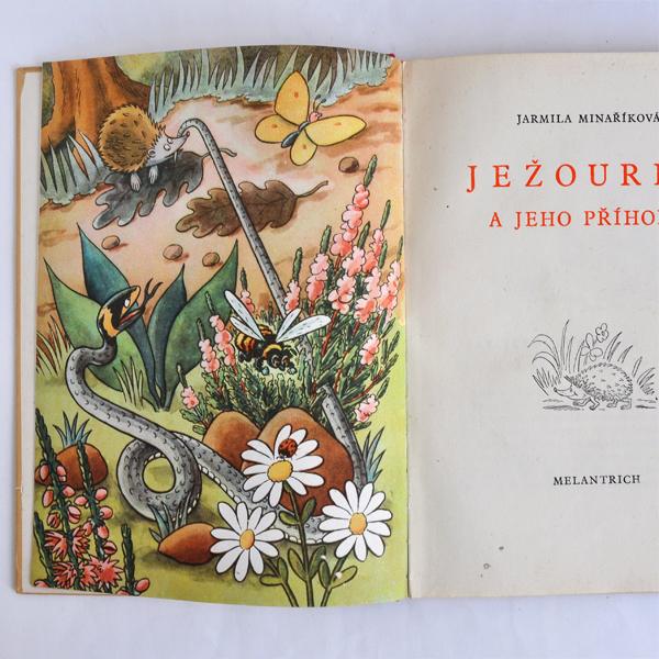 �`�F�R�X���o�L�A�̊G�{��JEZOUREK��