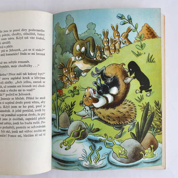 �`�F�R�X���o�L�A�̊G�{��JEZOUREK��