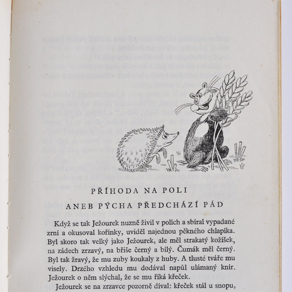 �`�F�R�X���o�L�A�̊G�{��JEZOUREK��