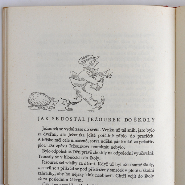 �`�F�R�X���o�L�A�̊G�{��JEZOUREK��