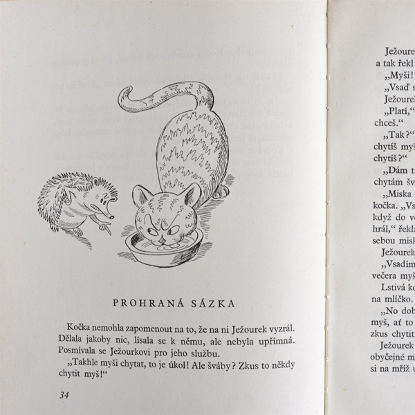 �`�F�R�X���o�L�A�̊G�{��JEZOUREK��