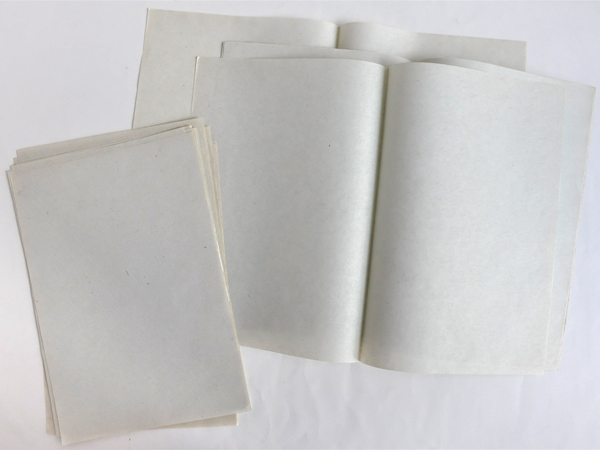 ���h�C�c�@�G�A���[���ƗX�ւɊւ�����̂��ꂱ��